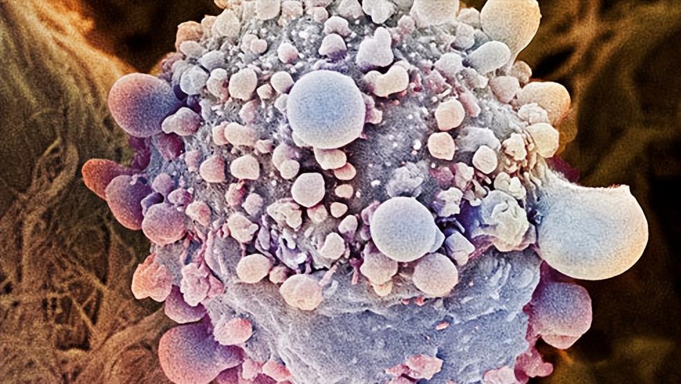 女人如果没有子宫会有什么影响,女性没有子宫和正常人有什么区别