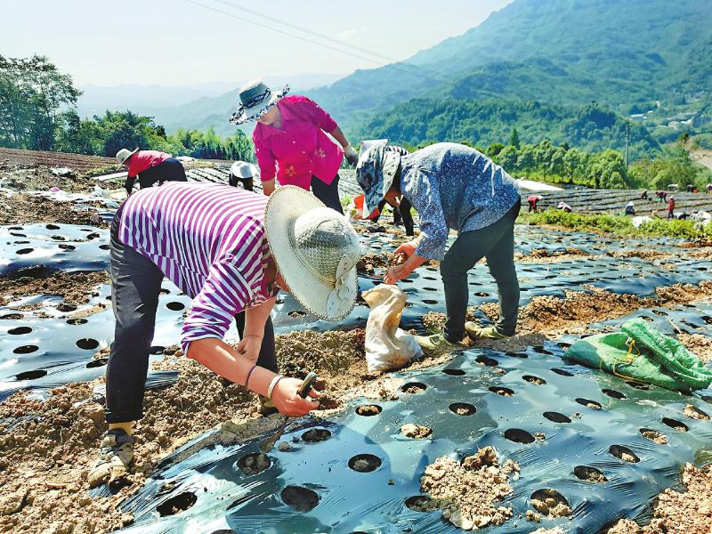 乐山新闻权威发布,乐山新闻最新要闻