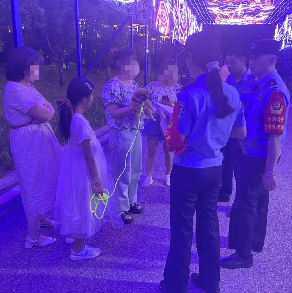 文明城市因不文明养犬被处罚,抚顺整治不文明养犬