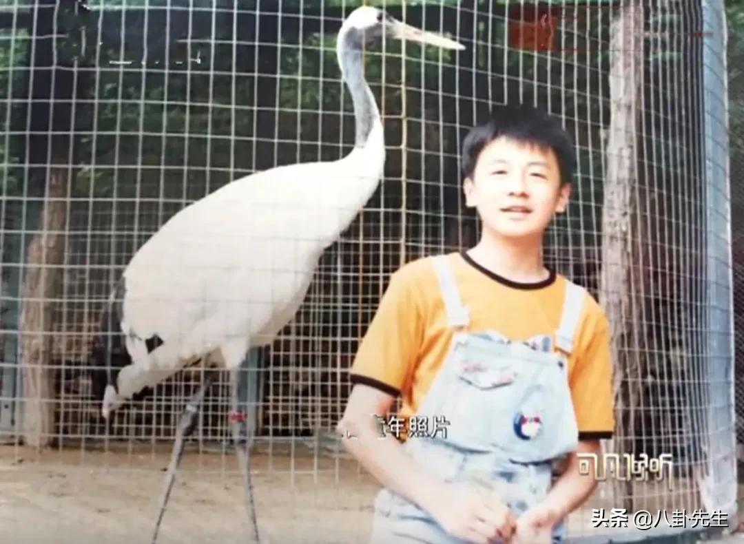 人世间雷佳音和殷桃剧照图文,人间世雷佳音和殷桃打伞的照片