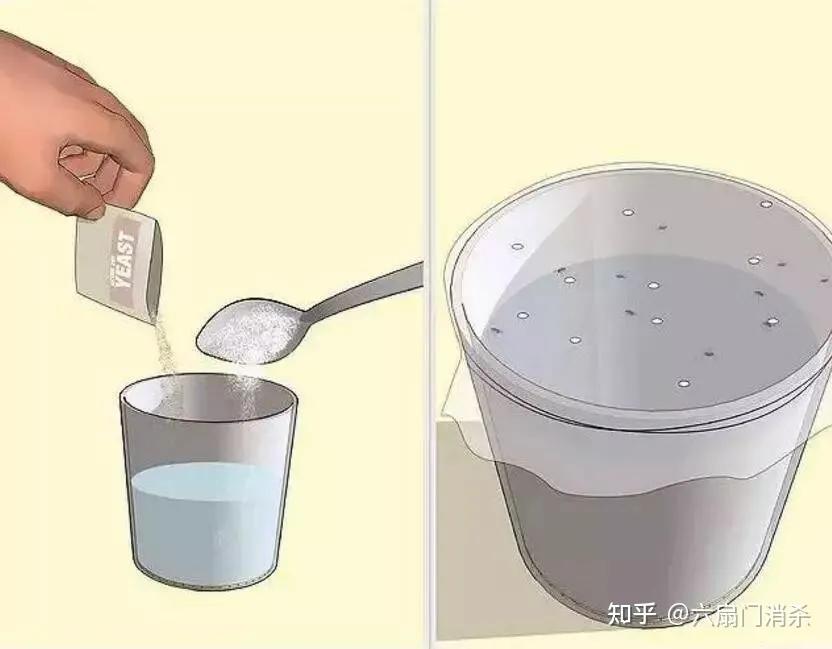 夏天果蝇从哪儿来,天气变暖好多果蝇