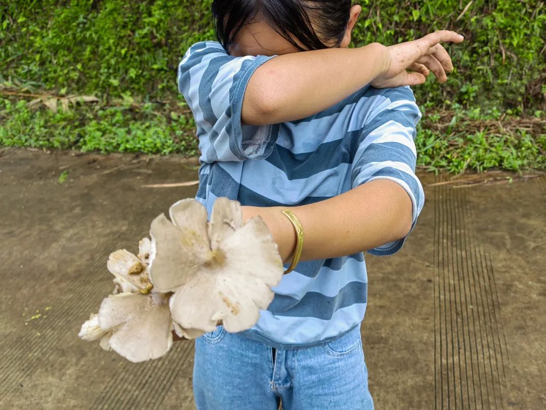 大山里的支教故事幼儿舞蹈,大山里的支教故事
