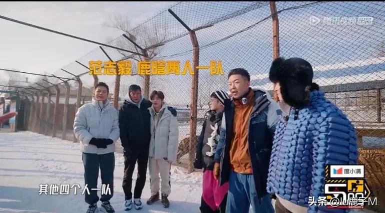 鹿晗范志毅对打拳击,鹿晗范志毅搭档