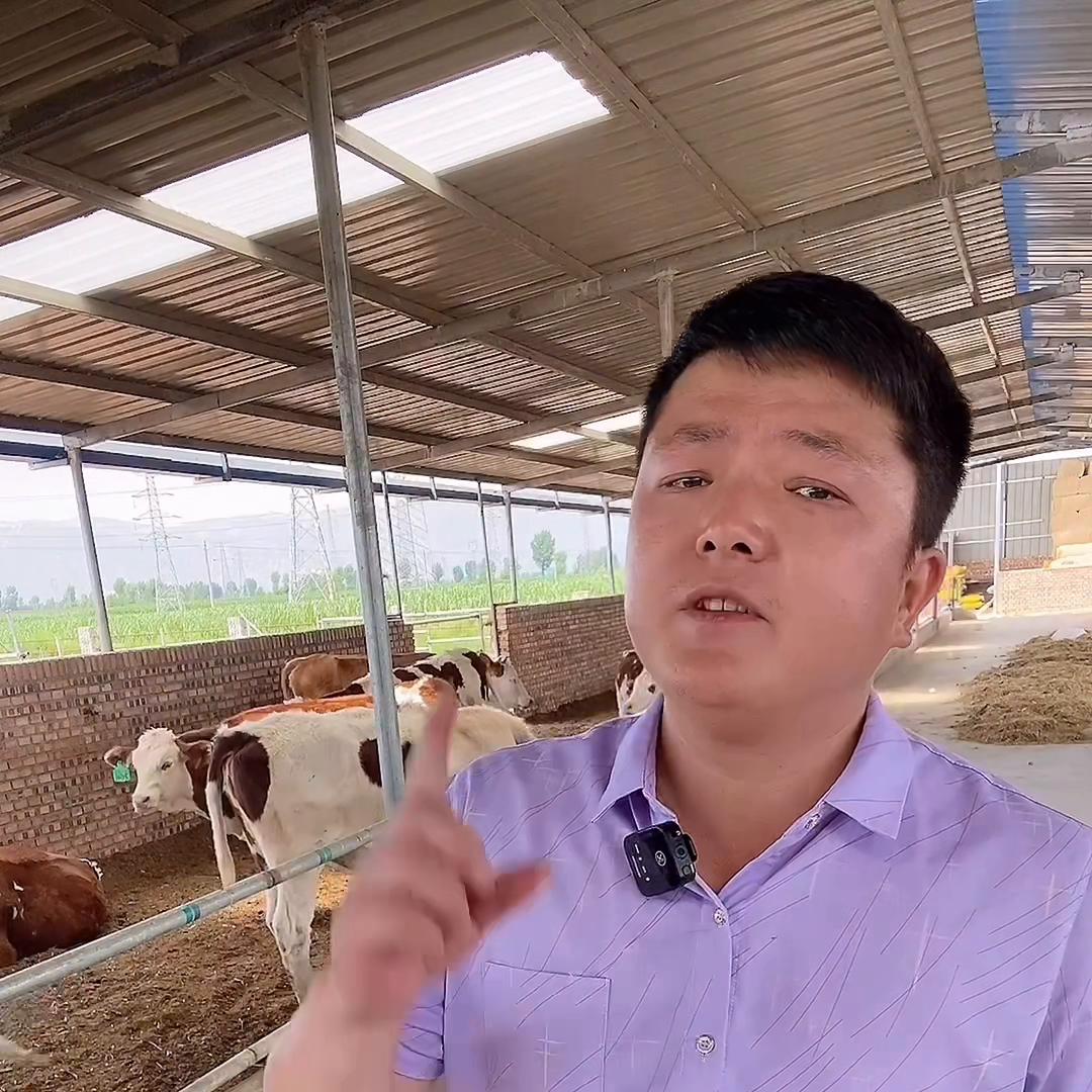 新手养殖基础知识大全,养殖新手入行注意事项