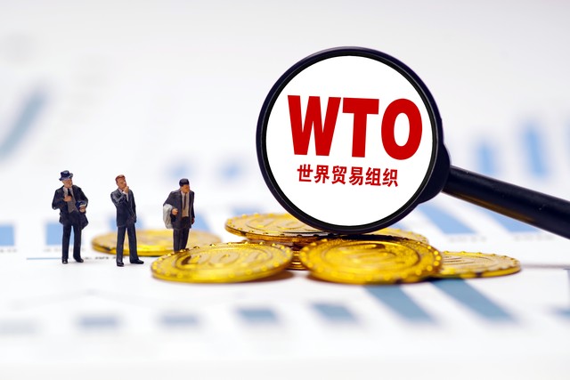 wto对于中国有啥影响,中国wti有否决权吗