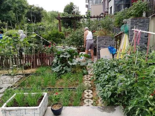 今后户籍政策会允许非转农吗,农转非户口有什么新政策