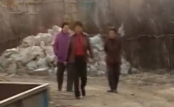 吉林农妇救了一条蛇,吉林农妇救毒蛇同吃同住12年