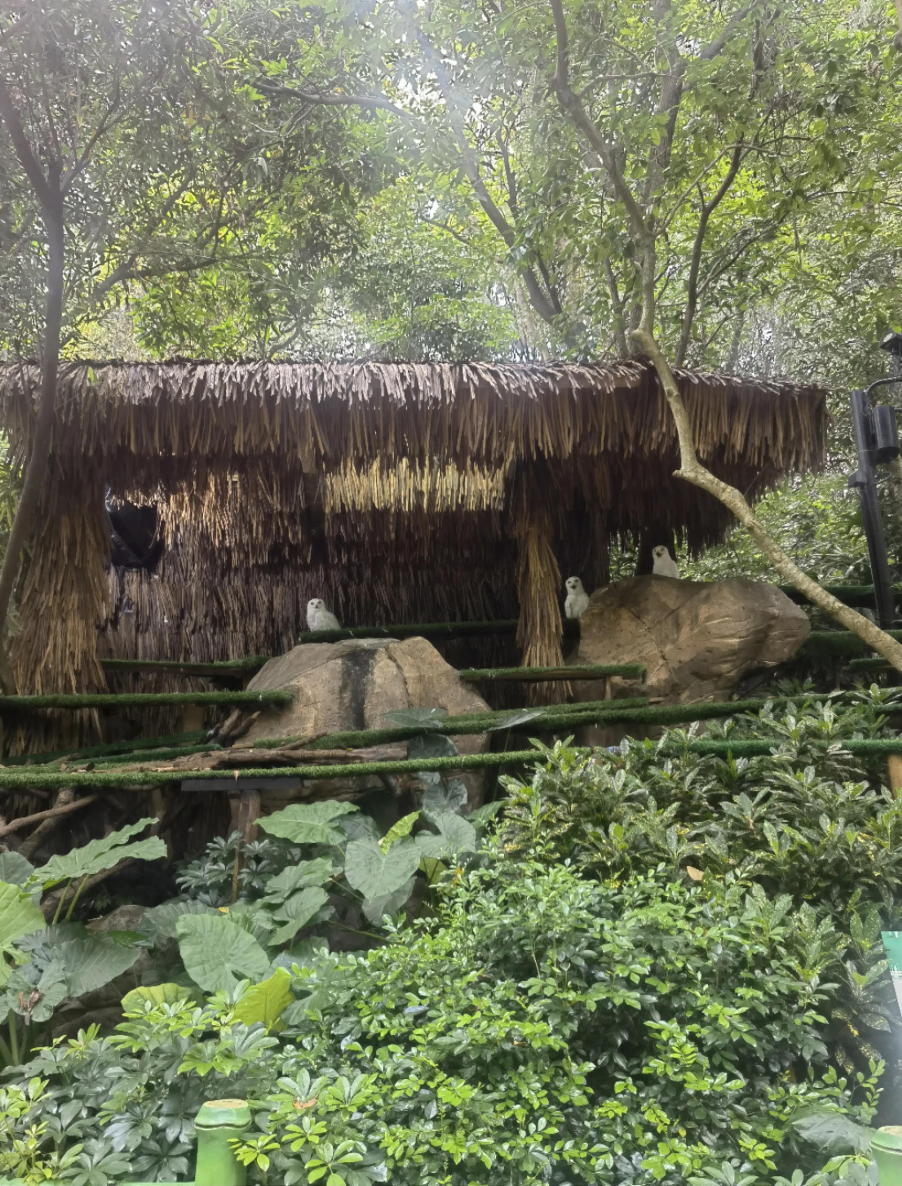 世界上唯一的夜间野生动物园,中国最好的北极熊动物园