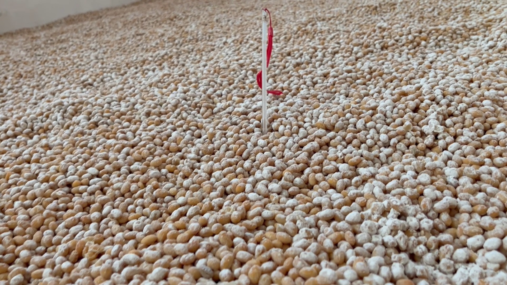 炒菜不好吃没香味,炒菜不好吃买什么炒菜料