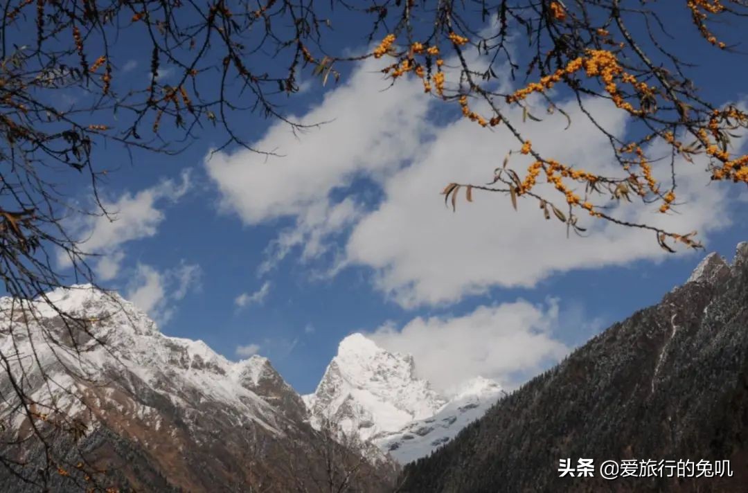 桃花节过了林芝还值得去吗,林芝桃花节去的最多的地方是哪个