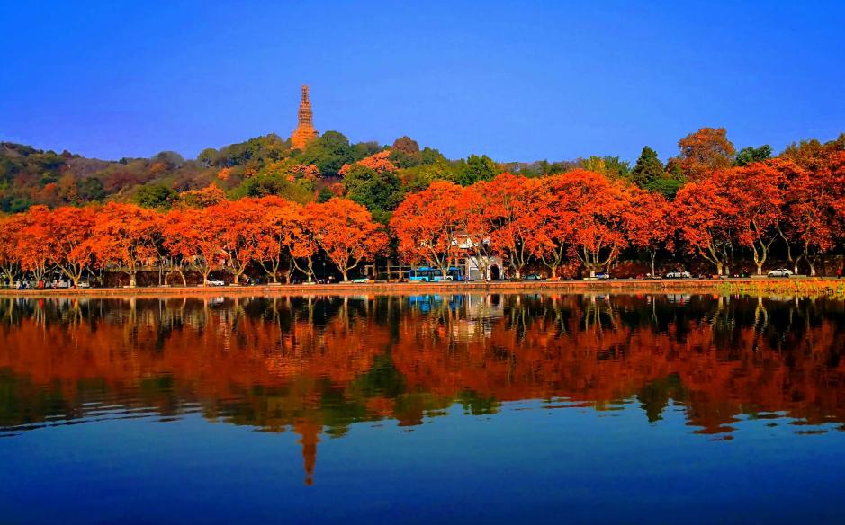 描写西湖秋天的古诗,西湖的秋天最美