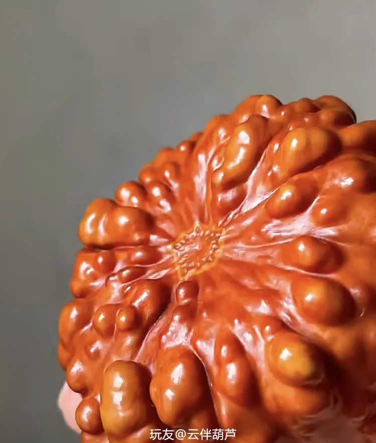 葫芦案真实案件,葫芦案事件始末