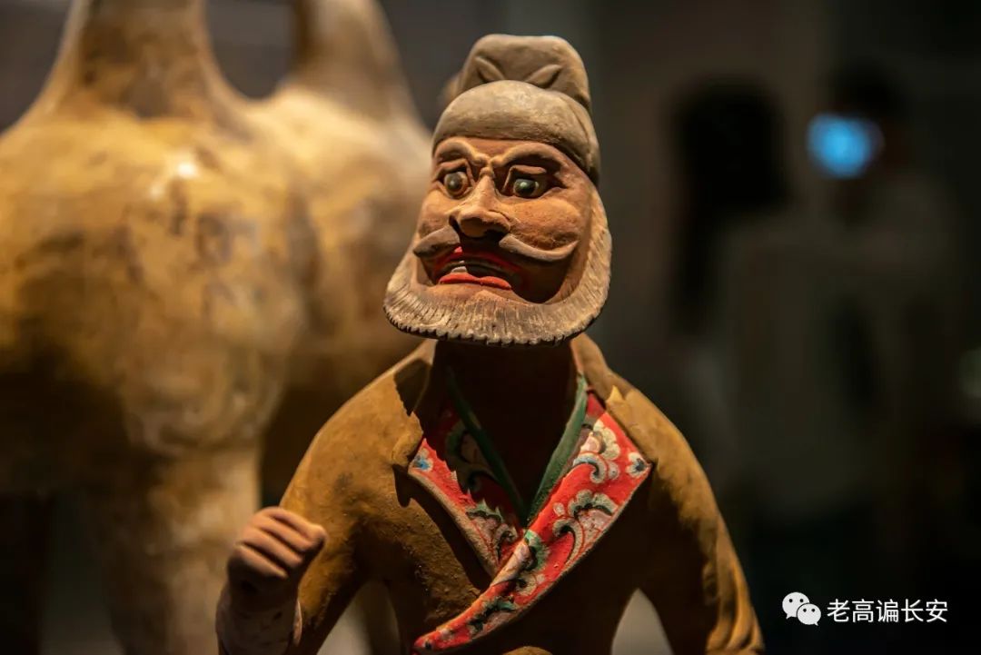 假期参观陕西考古博物馆,陕西考古博物馆开馆直播