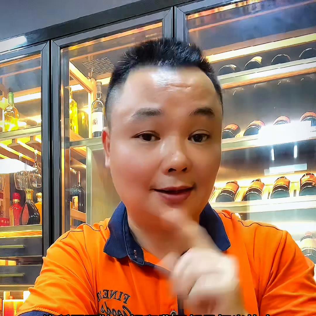 入门恒温酒柜,恒温酒柜和常温酒柜组合