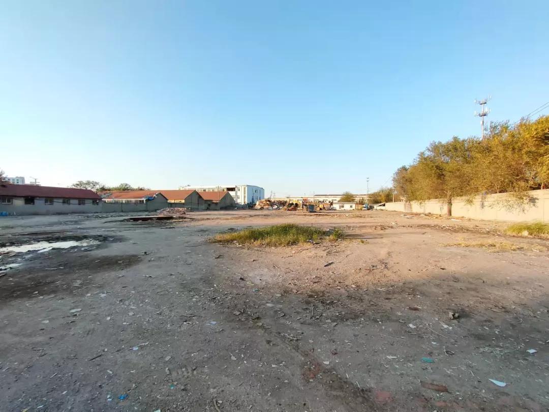 浣虫矁寰风鍒涘洯,闈掑矝浣虫矁寰锋櫤鑳戒骇涓氬洯