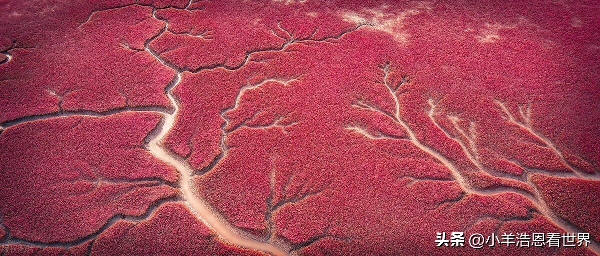 辽宁最值得去的十个景点,辽宁必去十大景点有哪些