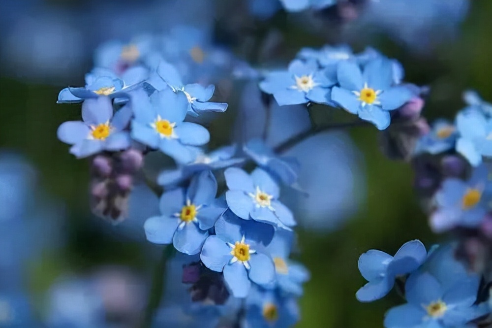 征服男人最好的四个方式,征服男人的最好方式