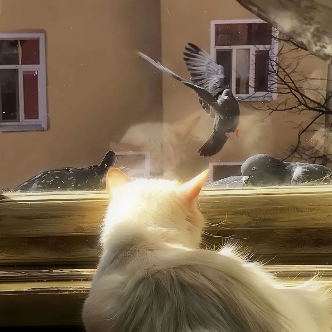 与父母出现隔阂很正常吧,父母之间产生了一点误会怎么办