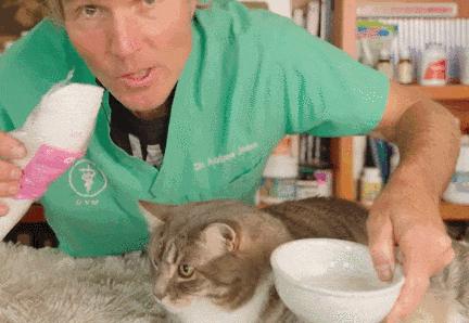 猫咪流泪有眼屎该吃什么药,猫咪有红褐色的眼屎正常吗