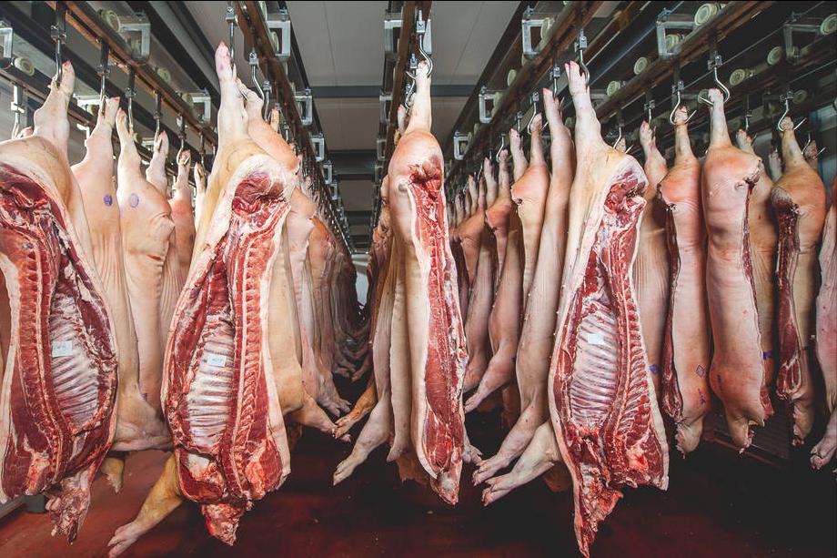 买排骨买大排还是小排,牛排骨是买大排好还是小排好