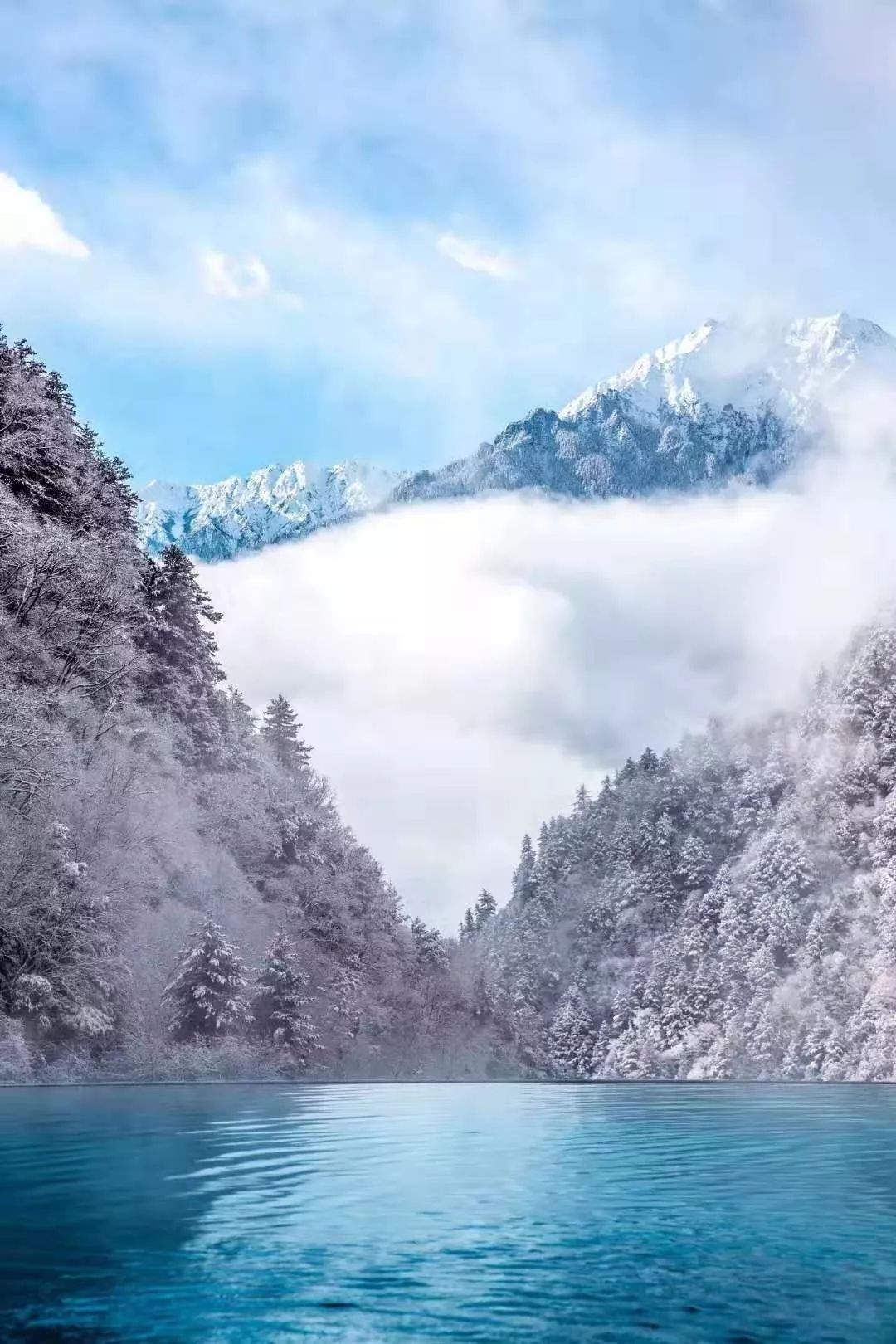 川西阿坝旅游详细攻略地图,川西阿坝旅游攻略三天