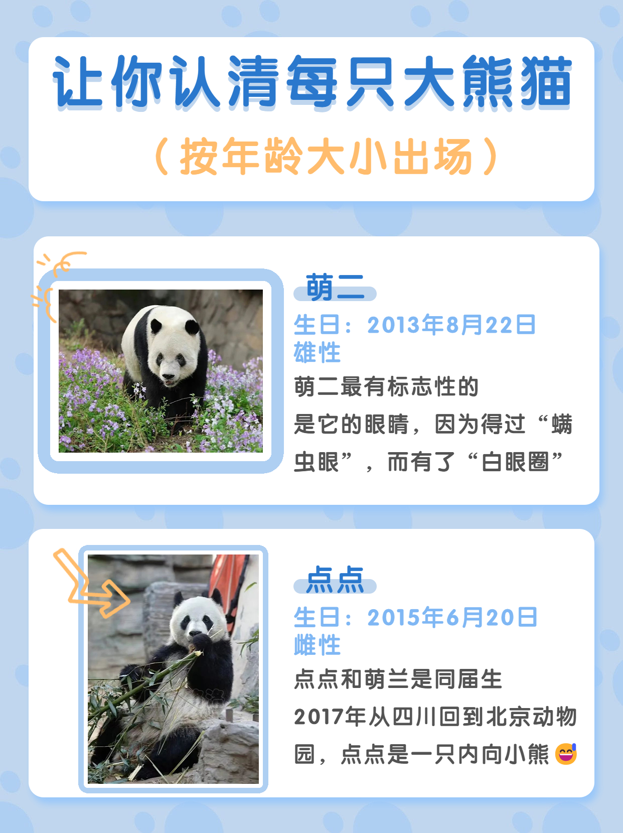 北京动物园游玩攻略路线图,游览北京动物园需要提前购票吗