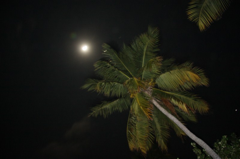 马尔代夫蜜月免费项目,蜜月旅游去马尔代夫哪个岛屿最好