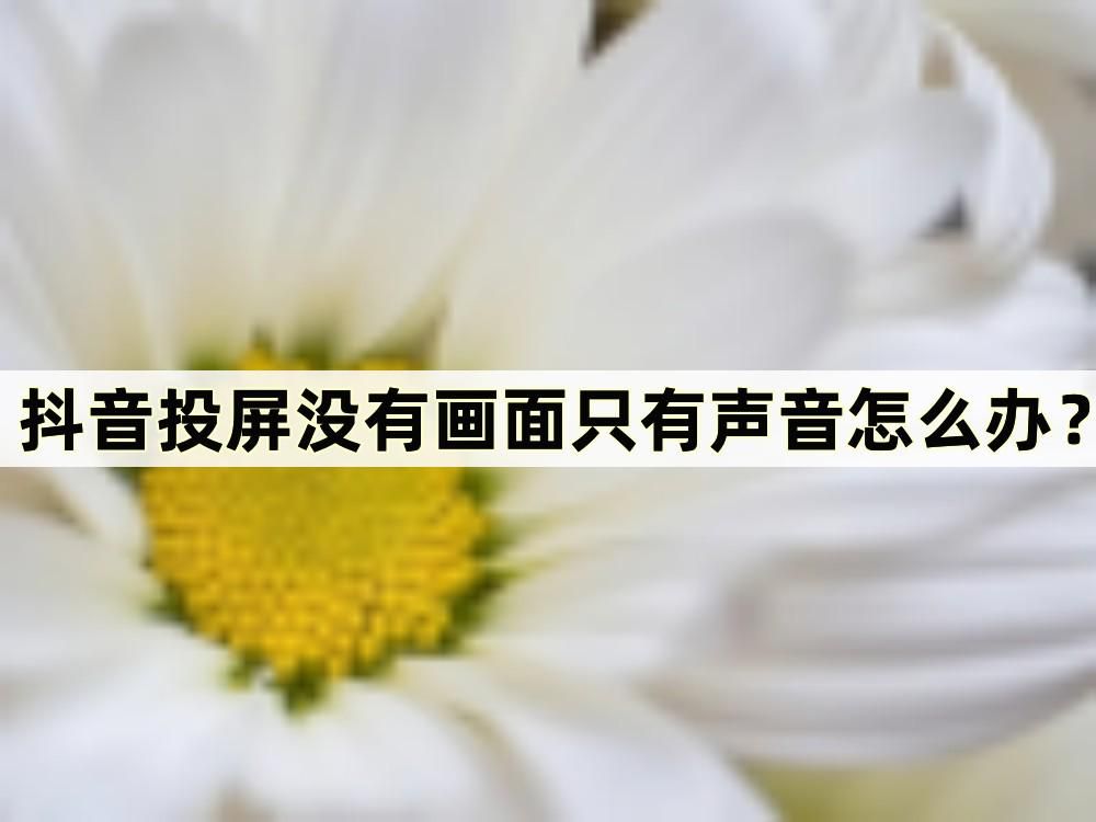 抖音投屏只有声音没画面怎么回事,抖音投屏没声音有画面