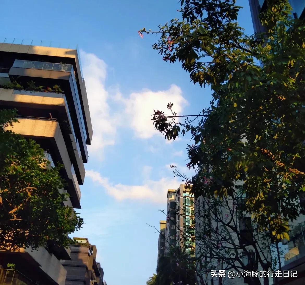 大陆同胞坐着假高铁,吃不起茶叶蛋?台湾同胞住着大别墅?