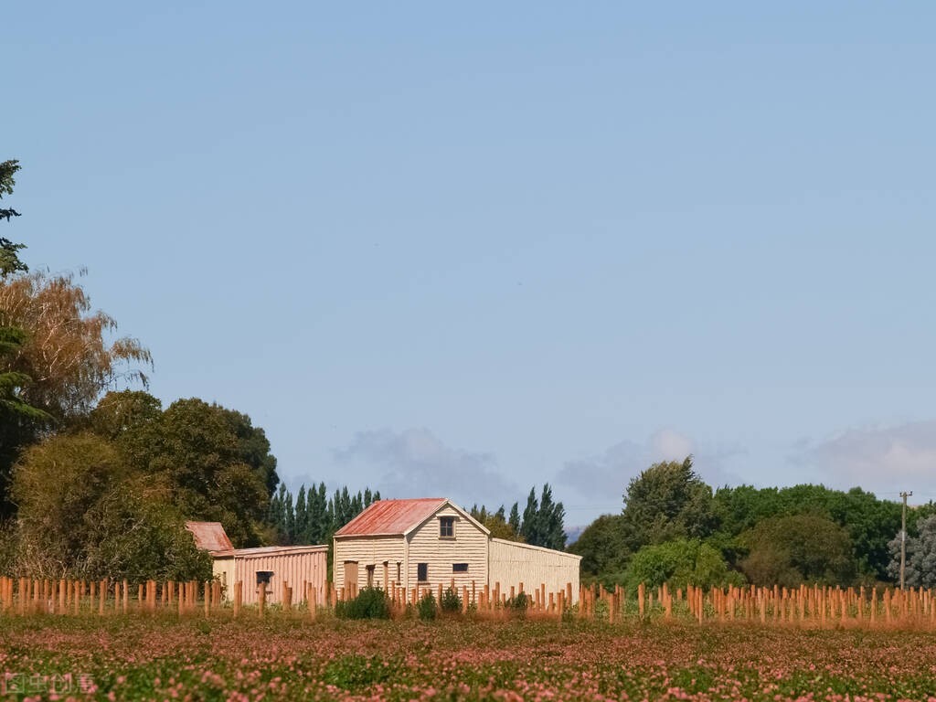 七夕新传牛郎织女漫话七夕情-山竹青青-开平朗诵