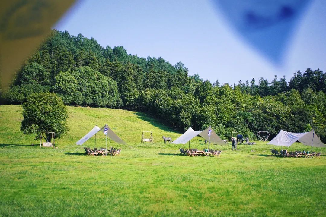 安吉亲子旅游必去的景点,安吉最新亲子旅游度假