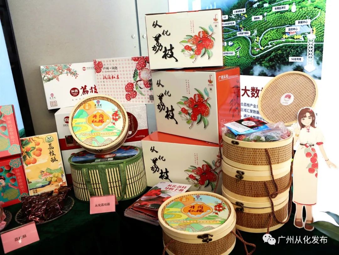 广州从化荔枝节,从化荔枝节什么时候开始举行