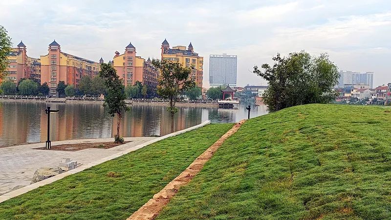 淮阳荷花节什么时间最好看,淮阳看荷花节开幕