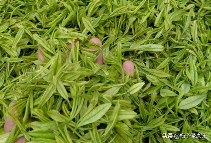 公认比较好喝的茶叶有哪些,什么品种的茶叶最好喝排行榜