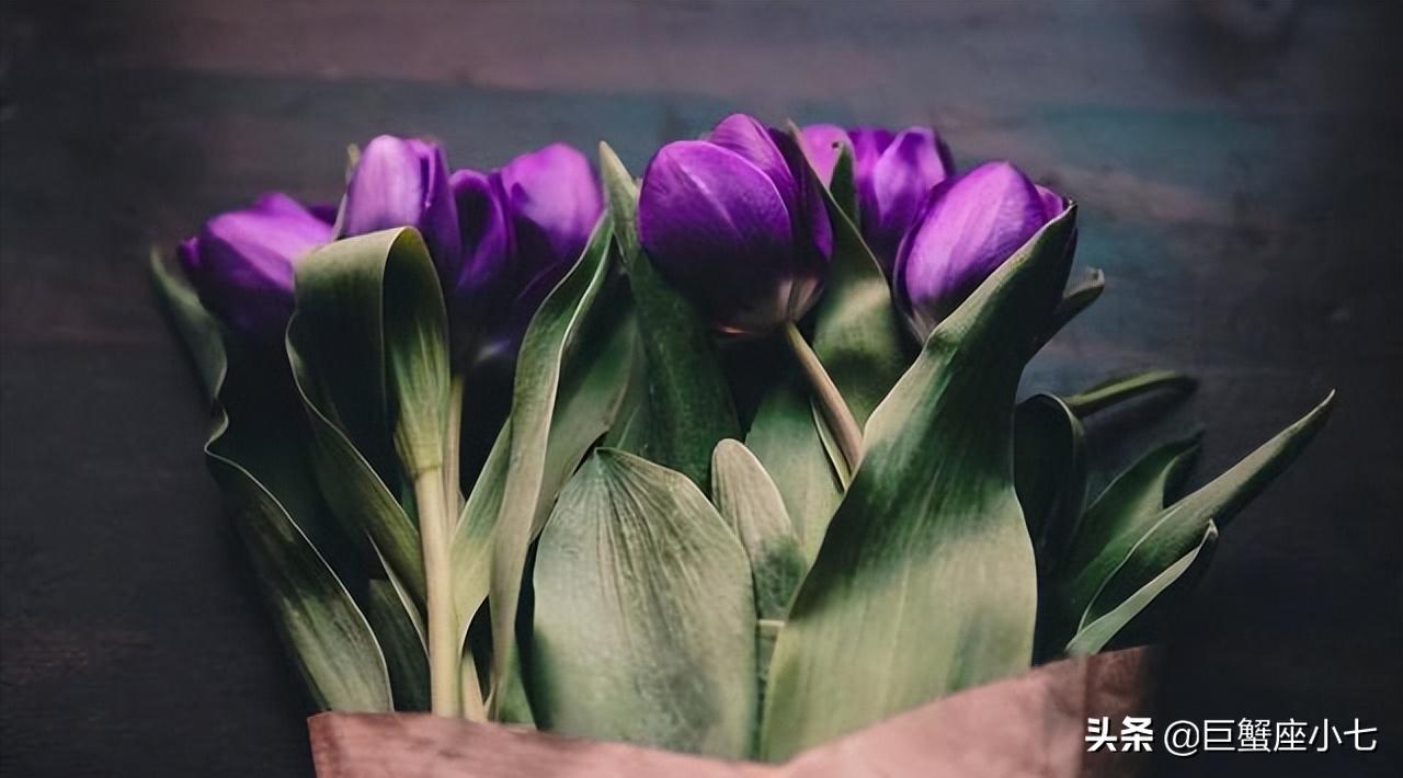 天秤座有你想不到的深情和绝情,天秤座开始对一个人冷淡