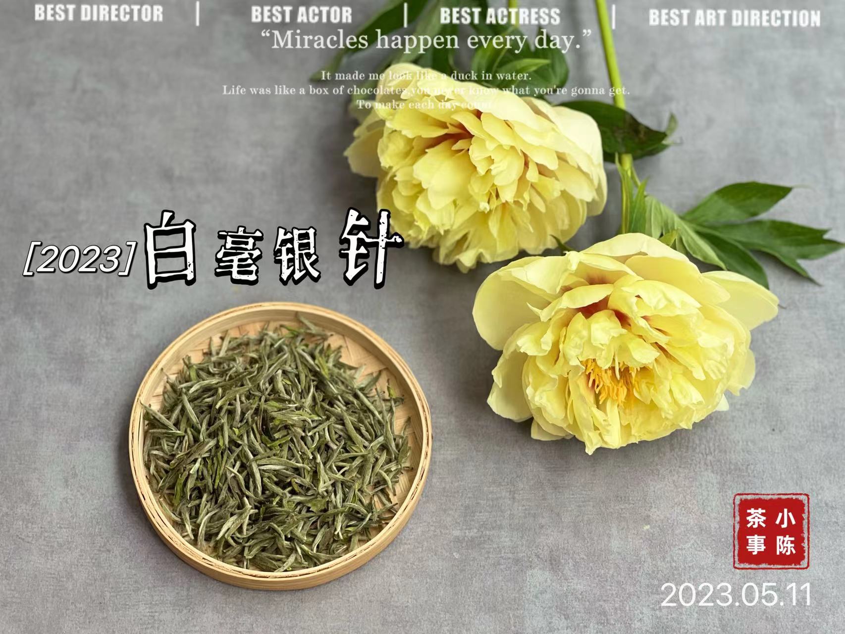 1斤白茶要多少斤青茶,一斤白茶需多少茶青