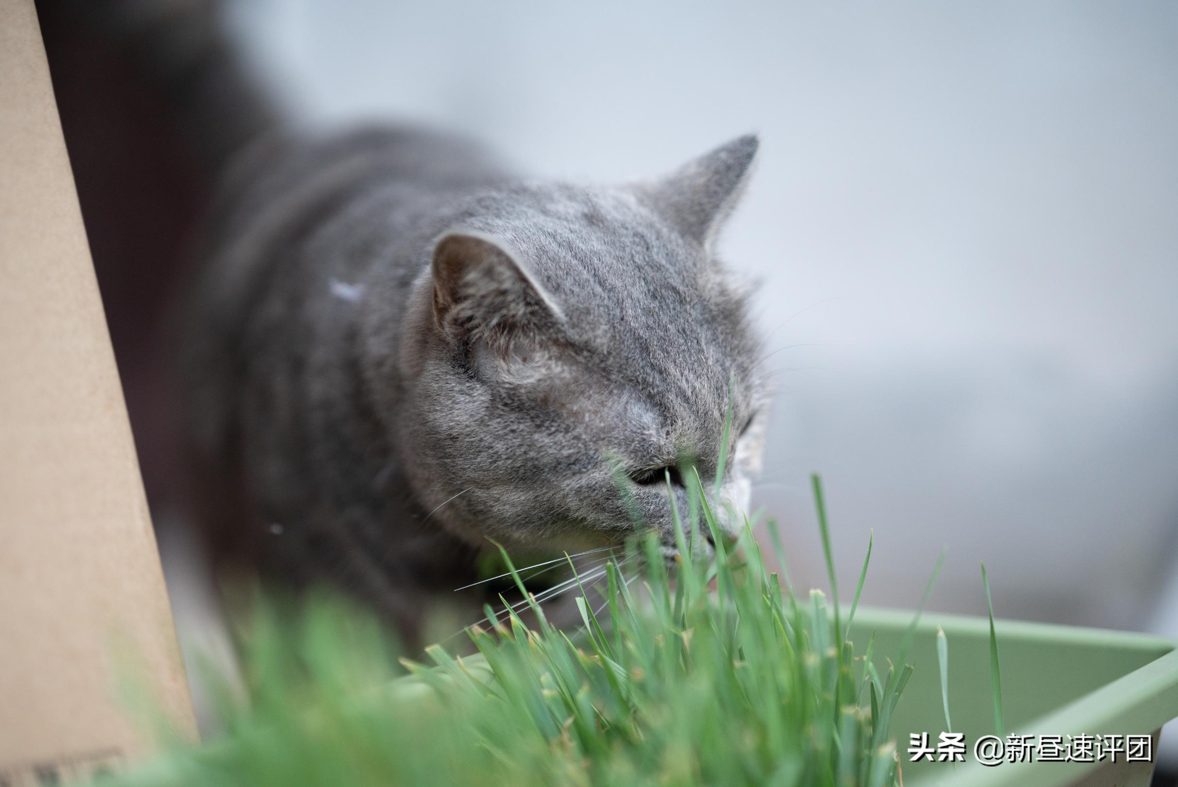 时隔8年，我买下当年梦见的镜头：Otus851.4