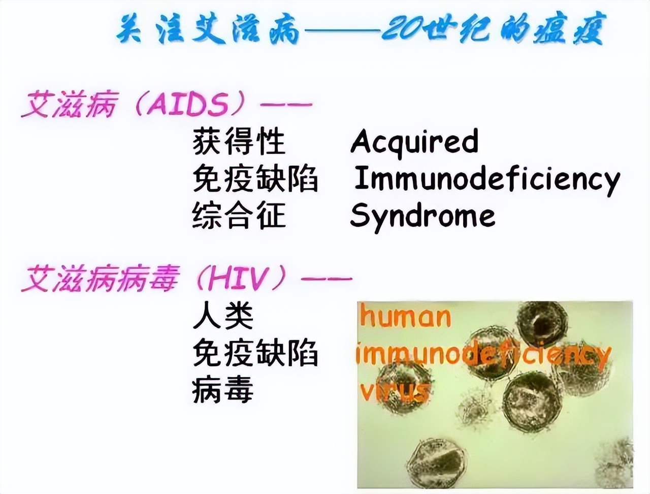 高中生物细胞免疫全知识点视频,生物高中知识点免疫调节