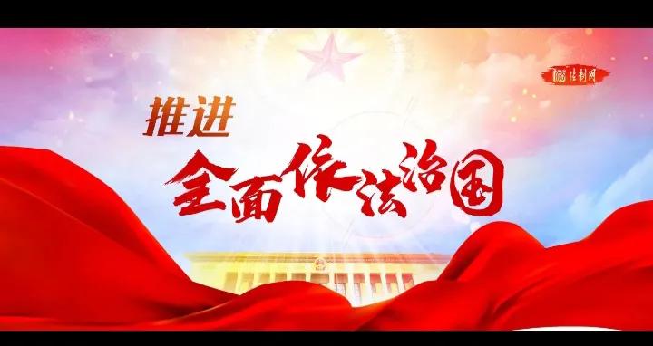 廖勇打人事件不用拘留吗,廖勇判罚结果