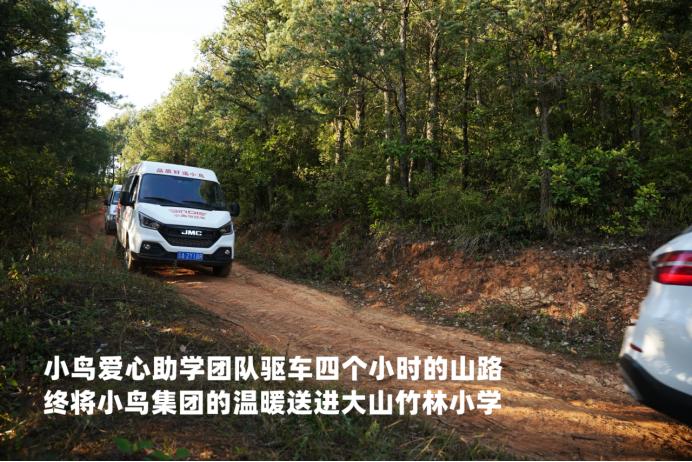 大美小鸟专卖店,大美小鸟五一活动