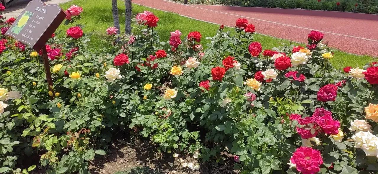 怎样对待和自己翻脸的亲人,怎么对待翻脸的人