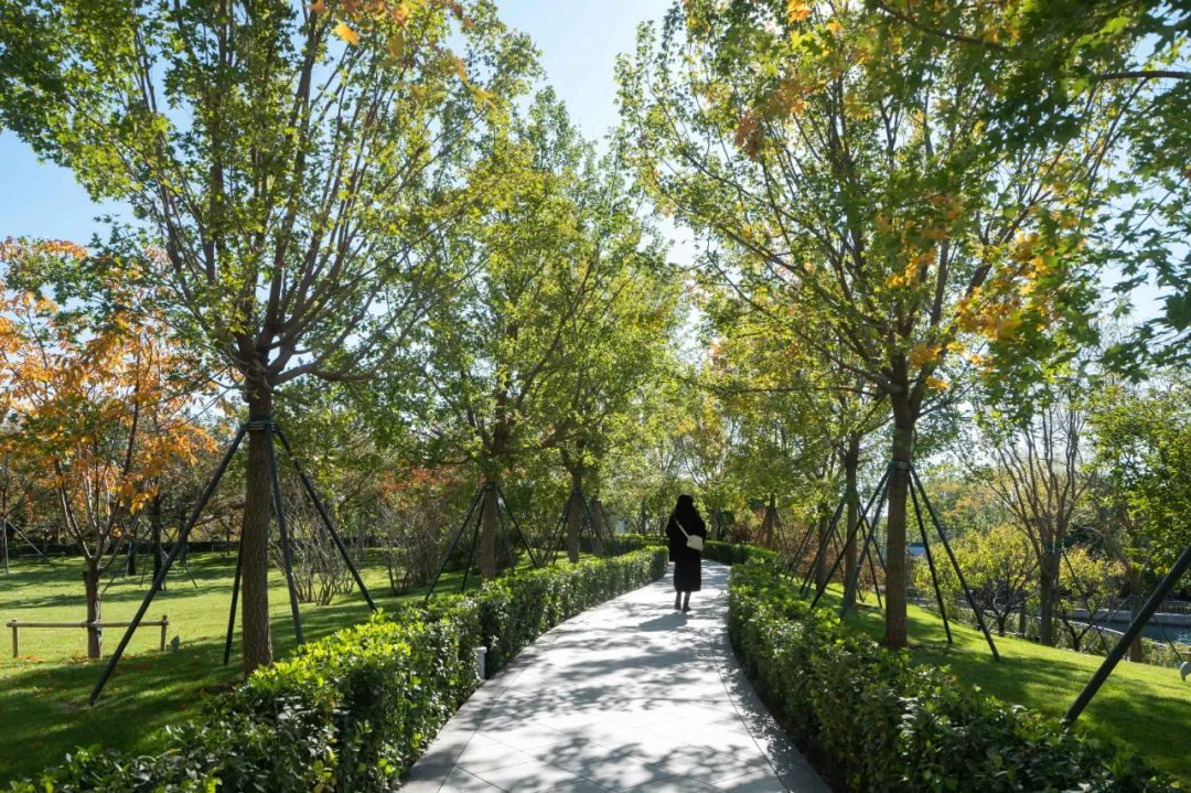 北京环球诺金酒店套房,诺金度假酒店北京环球度假区地址