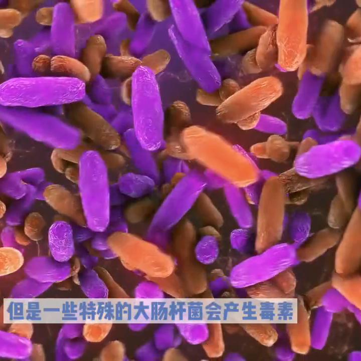 细菌给我们带来的危害,细菌的生命力到底多强