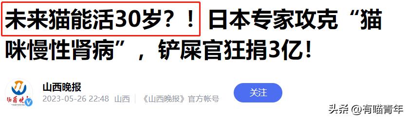 未来猫能活到30岁？？铲屎官听说后狂喜，怒捐3亿！！