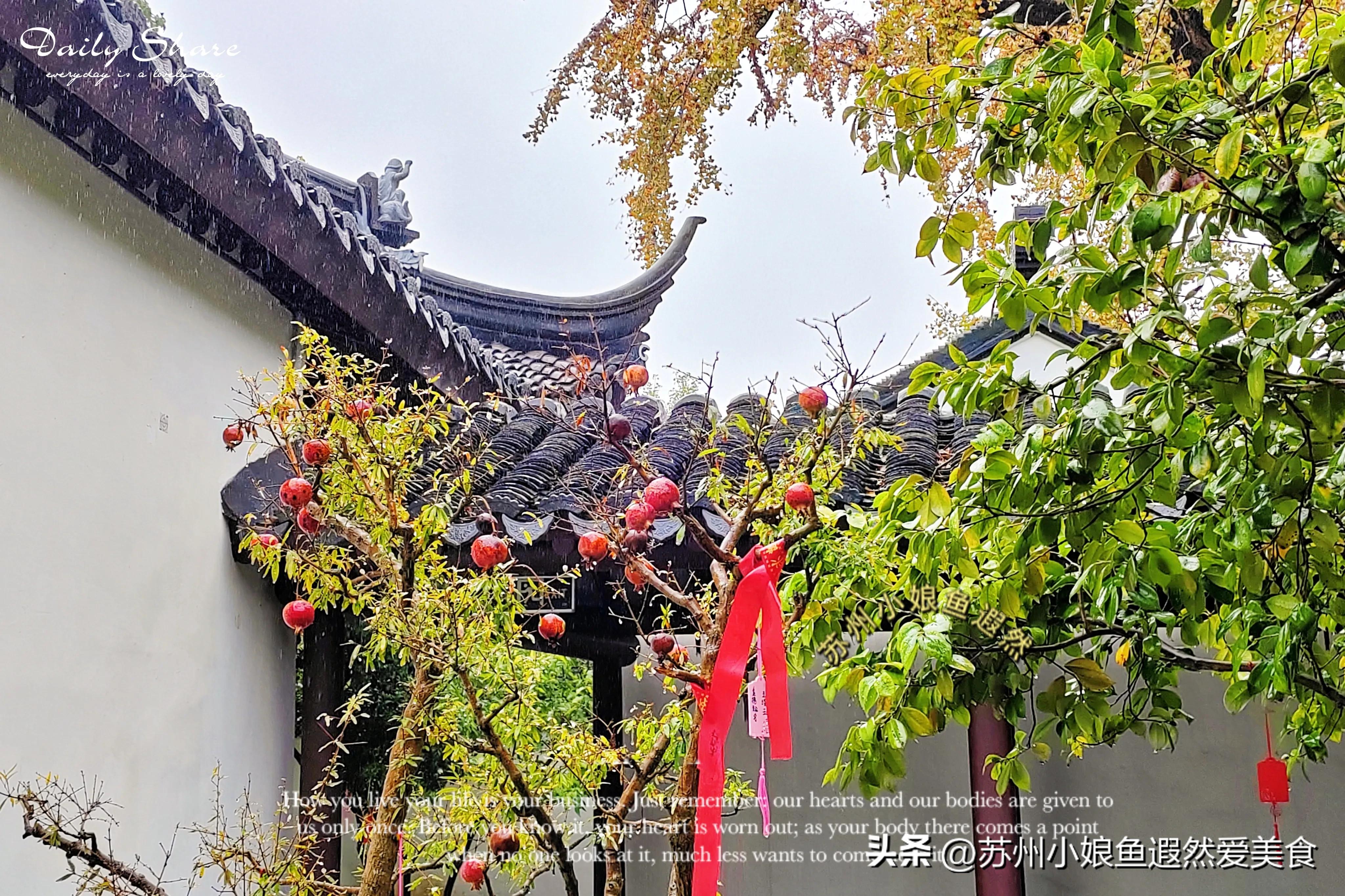 苏州一日游攻略探索更好玩的景点,苏州一日游景区推荐