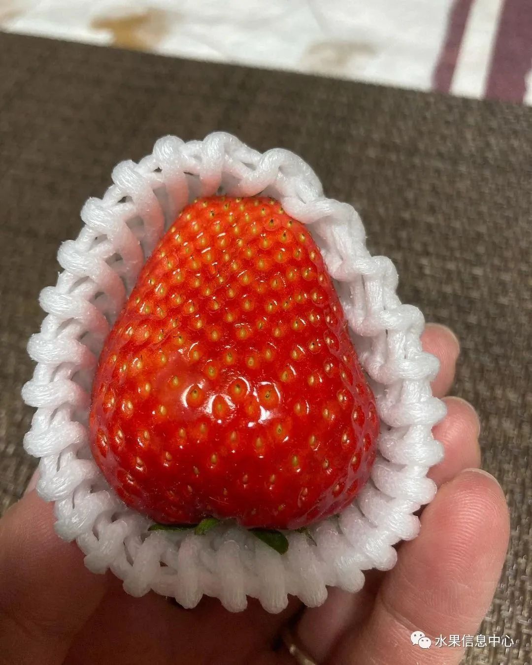 日本草莓评选大赛,排名第一的草莓品种是什么?