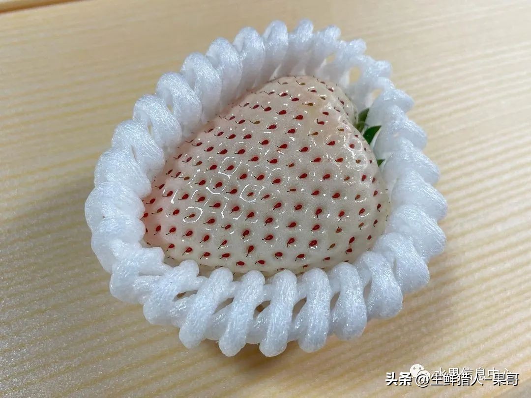 最好吃的白草莓品种前十名,好吃实惠的草莓品种有哪些