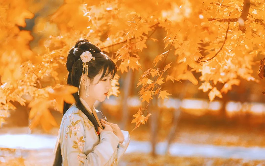 秋天落叶的诗句唯美短句,适合秋天发朋友圈的赞美秋天的诗