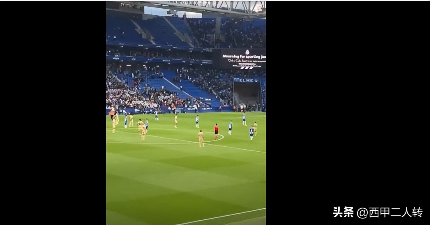足球场上罕见一幕,足球场上罕见的一幕