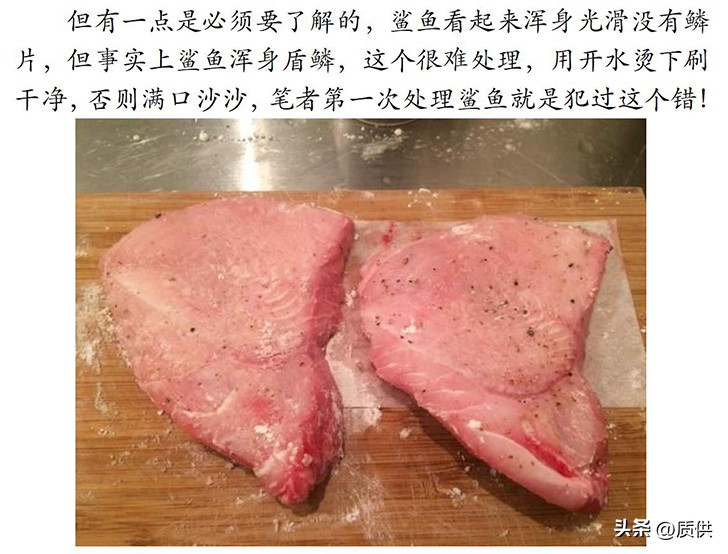 人类为什么只吃鲨鱼,为什么人类只吃鱼翅